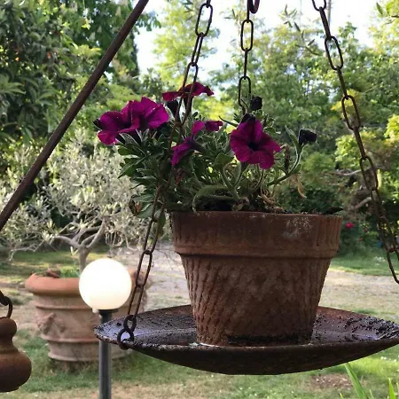 Affittacamere Podere Romitorio